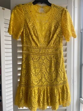 zimmermann lace black dress Hypnotic Lace Trim Mini Dress main image 1